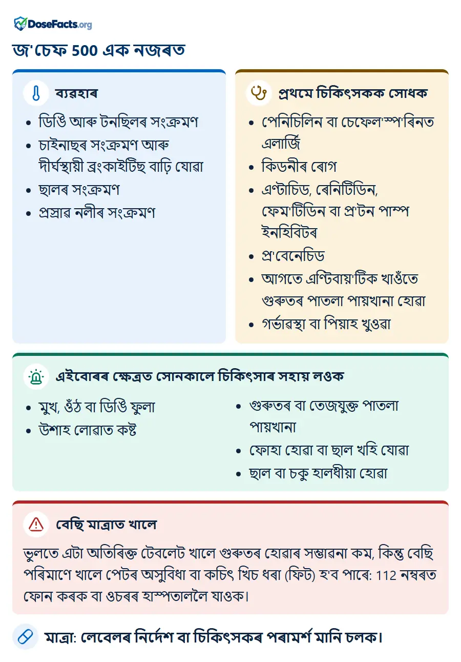 জ'চেফ 500 এক নজৰত. ব্যৱহাৰ: ডিঙি আৰু টনছিলৰ সংক্ৰমণ, চাইনাছৰ সংক্ৰমণ আৰু দীৰ্ঘস্থায়ী ব্ৰংকাইটিছ বাঢ়ি যোৱা, ছালৰ সংক্ৰমণ, প্ৰস্ৰাৱ নলীৰ সংক্ৰমণ. প্ৰথমে চিকিৎসকক সোধক: পেনিচিলিন বা চেফেল'স্প'ৰিনত এলাৰ্জি, কিডনীৰ ৰোগ, এণ্টাচিড, ৰেনিটিডিন, ফেম'টিডিন বা প্ৰ'টন পাম্প ইনহিবিটৰ, প্ৰ'বেনেচিড, আগতে এণ্টিবায়'টিক খাওঁতে গুৰুতৰ পাতলা পায়খানা হোৱা, গৰ্ভাৱস্থা বা পিয়াহ খুওৱা. এইবোৰৰ ক্ষেত্ৰত সোনকালে চিকিৎসাৰ সহায় লওক: মুখ, ওঁঠ বা ডিঙি ফুলা, উশাহ লোৱাত কষ্ট, গুৰুতৰ বা তেজযুক্ত পাতলা পায়খানা, ফোহা হোৱা বা ছাল খহি যোৱা, ছাল বা চকু হালধীয়া হোৱা. বেছি মাত্ৰাত খালে: ভুলতে এটা অতিৰিক্ত টেবলেট খালে গুৰুতৰ হোৱাৰ সম্ভাৱনা কম, কিন্তু বেছি পৰিমাণে খালে পেটৰ অসুবিধা বা কচিৎ খিচ ধৰা (ফিট) হ'ব পাৰে: 112 নম্বৰত ফোন কৰক বা ওচৰৰ হাস্পতাললৈ যাওক. মাত্ৰা: লেবেলৰ নিৰ্দেশ বা চিকিৎসকৰ পৰামৰ্শ মানি চলক.