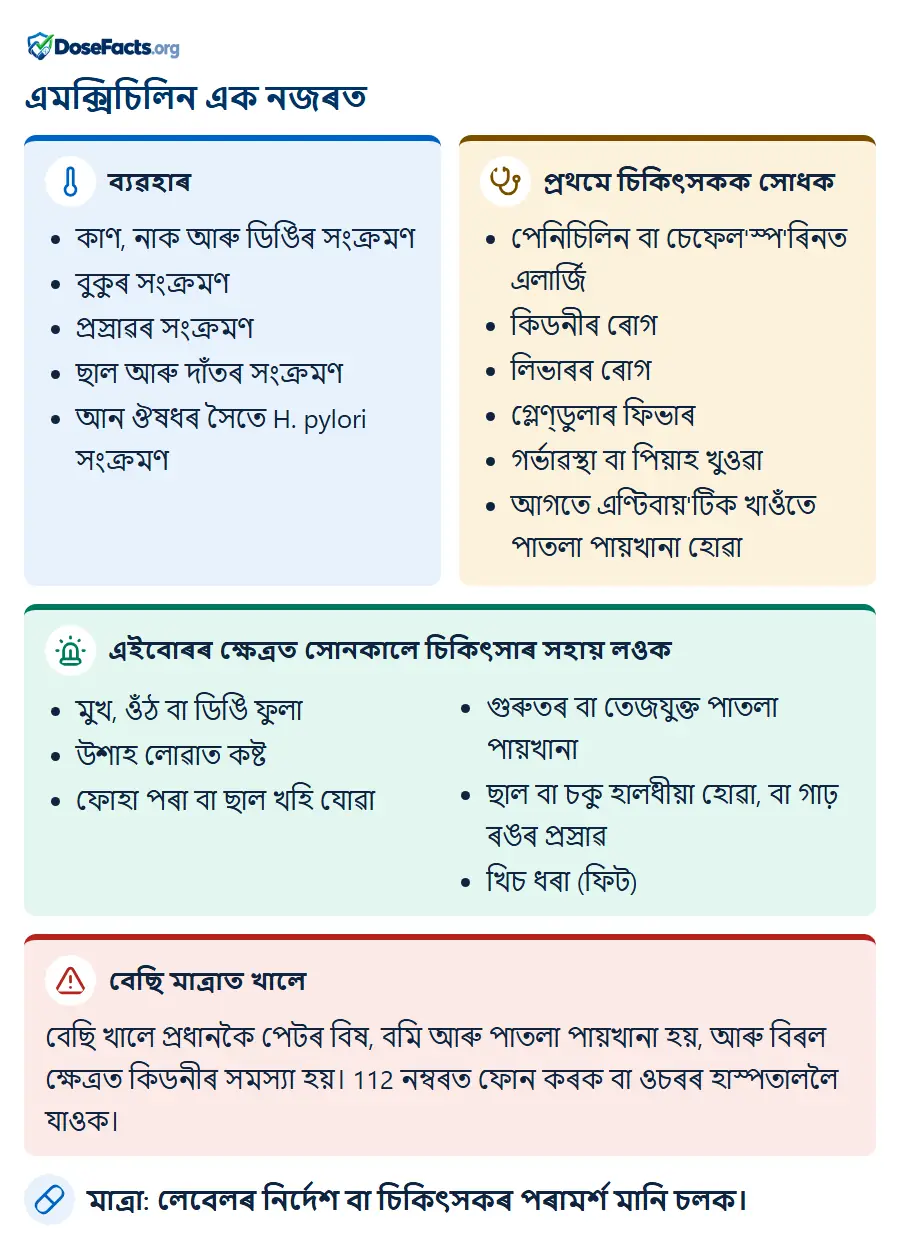 এমক্সিচিলিন এক নজৰত. ব্যৱহাৰ: কাণ, নাক আৰু ডিঙিৰ সংক্ৰমণ, বুকুৰ সংক্ৰমণ, প্ৰস্ৰাৱৰ সংক্ৰমণ, ছাল আৰু দাঁতৰ সংক্ৰমণ, আন ঔষধৰ সৈতে H. pylori সংক্ৰমণ. প্ৰথমে চিকিৎসকক সোধক: পেনিচিলিন বা চেফেল'স্প'ৰিনত এলাৰ্জি, কিডনীৰ ৰোগ, লিভাৰৰ ৰোগ, গ্লেণ্ডুলাৰ ফিভাৰ, গৰ্ভাৱস্থা বা পিয়াহ খুওৱা, আগতে এণ্টিবায়'টিক খাওঁতে পাতলা পায়খানা হোৱা. এইবোৰৰ ক্ষেত্ৰত সোনকালে চিকিৎসাৰ সহায় লওক: মুখ, ওঁঠ বা ডিঙি ফুলা, উশাহ লোৱাত কষ্ট, ফোহা পৰা বা ছাল খহি যোৱা, গুৰুতৰ বা তেজযুক্ত পাতলা পায়খানা, ছাল বা চকু হালধীয়া হোৱা, বা গাঢ় ৰঙৰ প্ৰস্ৰাৱ, খিচ ধৰা (ফিট). বেছি মাত্ৰাত খালে: বেছি খালে প্ৰধানকৈ পেটৰ বিষ, বমি আৰু পাতলা পায়খানা হয়, আৰু বিৰল ক্ষেত্ৰত কিডনীৰ সমস্যা হয়। 112 নম্বৰত ফোন কৰক বা ওচৰৰ হাস্পতাললৈ যাওক. মাত্ৰা: লেবেলৰ নিৰ্দেশ বা চিকিৎসকৰ পৰামৰ্শ মানি চলক.