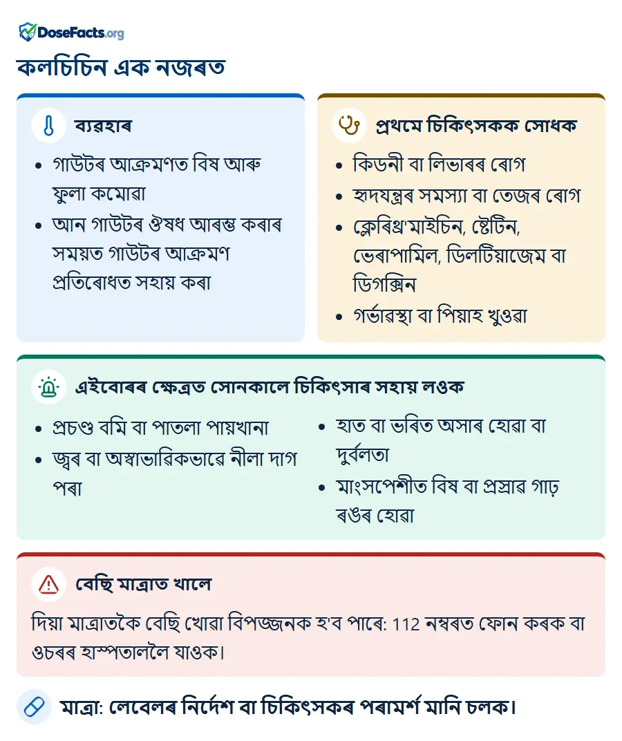 কলচিচিন এক নজৰত. ব্যৱহাৰ: গাউটৰ আক্ৰমণত বিষ আৰু ফুলা কমোৱা, আন গাউটৰ ঔষধ আৰম্ভ কৰাৰ সময়ত গাউটৰ আক্ৰমণ প্ৰতিৰোধত সহায় কৰা. প্ৰথমে চিকিৎসকক সোধক: কিডনী বা লিভাৰৰ ৰোগ, হৃদযন্ত্ৰৰ সমস্যা বা তেজৰ ৰোগ, ক্লেৰিথ্ৰ'মাইচিন, ষ্টেটিন, ভেৰাপামিল, ডিলটিয়াজেম বা ডিগক্সিন, গৰ্ভাৱস্থা বা পিয়াহ খুওৱা. এইবোৰৰ ক্ষেত্ৰত সোনকালে চিকিৎসাৰ সহায় লওক: প্ৰচণ্ড বমি বা পাতলা পায়খানা, জ্বৰ বা অস্বাভাৱিকভাৱে নীলা দাগ পৰা, হাত বা ভৰিত অসাৰ হোৱা বা দুৰ্বলতা, মাংসপেশীত বিষ বা প্ৰস্ৰাৱ গাঢ় ৰঙৰ হোৱা. বেছি মাত্ৰাত খালে: দিয়া মাত্ৰাতকৈ বেছি খোৱা বিপজ্জনক হ'ব পাৰে: 112 নম্বৰত ফোন কৰক বা ওচৰৰ হাস্পতাললৈ যাওক. মাত্ৰা: লেবেলৰ নিৰ্দেশ বা চিকিৎসকৰ পৰামৰ্শ মানি চলক.