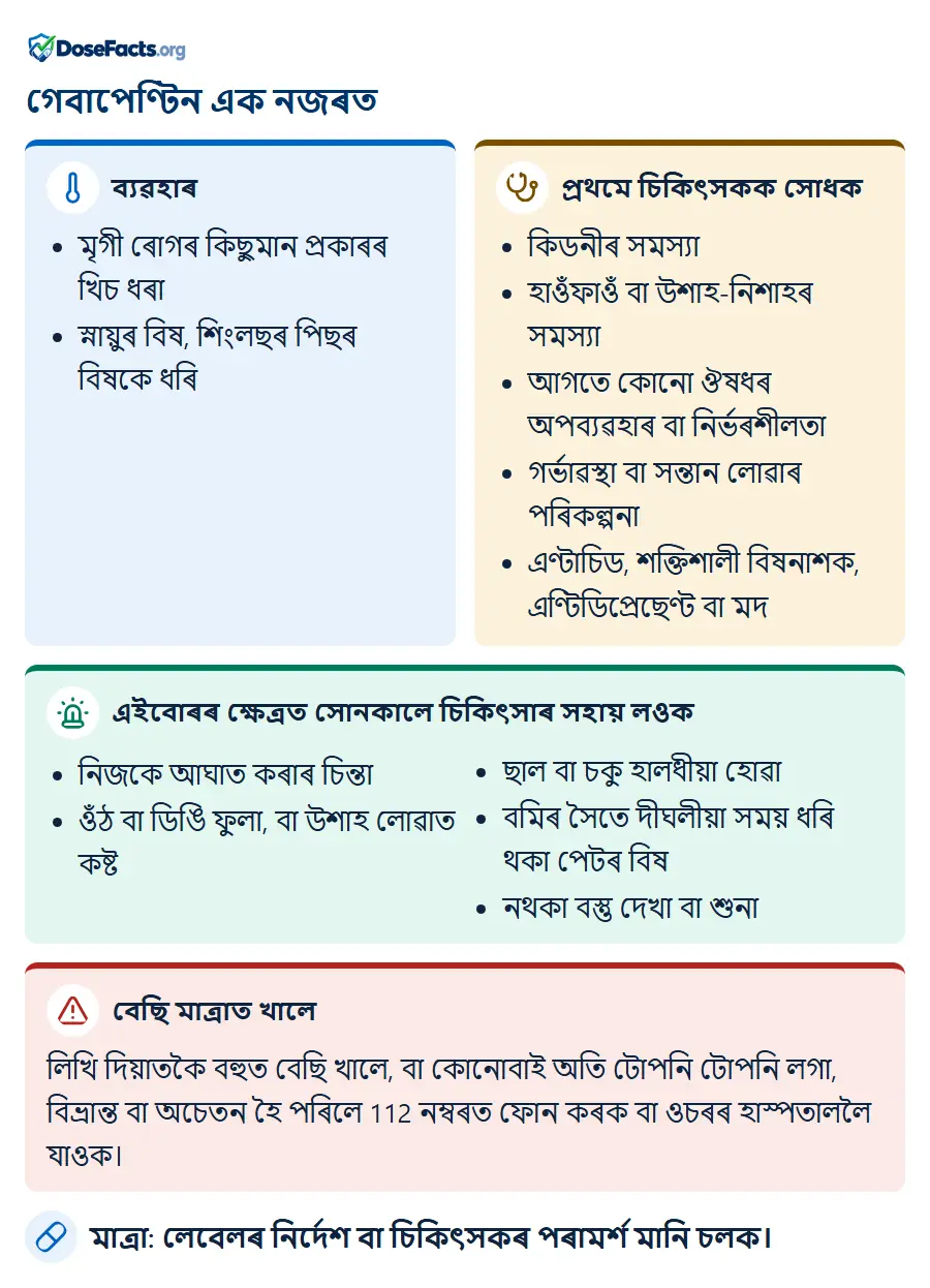 গেবাপেণ্টিন এক নজৰত. ব্যৱহাৰ: মৃগী ৰোগৰ কিছুমান প্ৰকাৰৰ খিচ ধৰা, স্নায়ুৰ বিষ, শিংলছৰ পিছৰ বিষকে ধৰি. প্ৰথমে চিকিৎসকক সোধক: কিডনীৰ সমস্যা, হাওঁফাওঁ বা উশাহ-নিশাহৰ সমস্যা, আগতে কোনো ঔষধৰ অপব্যৱহাৰ বা নিৰ্ভৰশীলতা, গৰ্ভাৱস্থা বা সন্তান লোৱাৰ পৰিকল্পনা, এণ্টাচিড, শক্তিশালী বিষনাশক, এণ্টিডিপ্ৰেছেণ্ট বা মদ. এইবোৰৰ ক্ষেত্ৰত সোনকালে চিকিৎসাৰ সহায় লওক: নিজকে আঘাত কৰাৰ চিন্তা, ওঁঠ বা ডিঙি ফুলা, বা উশাহ লোৱাত কষ্ট, ছাল বা চকু হালধীয়া হোৱা, বমিৰ সৈতে দীঘলীয়া সময় ধৰি থকা পেটৰ বিষ, নথকা বস্তু দেখা বা শুনা. বেছি মাত্ৰাত খালে: লিখি দিয়াতকৈ বহুত বেছি খালে, বা কোনোবাই অতি টোপনি টোপনি লগা, বিভ্ৰান্ত বা অচেতন হৈ পৰিলে 112 নম্বৰত ফোন কৰক বা ওচৰৰ হাস্পতাললৈ যাওক. মাত্ৰা: লেবেলৰ নিৰ্দেশ বা চিকিৎসকৰ পৰামৰ্শ মানি চলক.