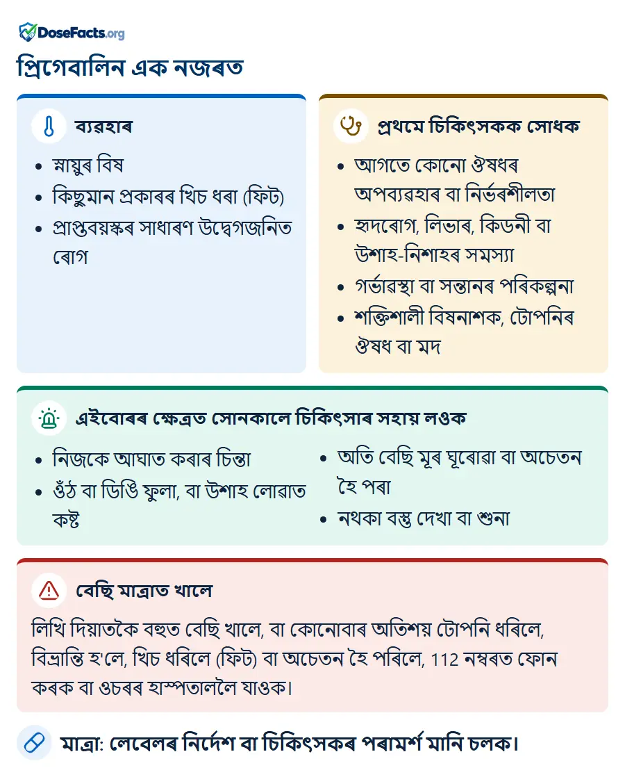 প্ৰিগেবালিন এক নজৰত. ব্যৱহাৰ: স্নায়ুৰ বিষ, কিছুমান প্ৰকাৰৰ খিচ ধৰা (ফিট), প্ৰাপ্তবয়স্কৰ সাধাৰণ উদ্বেগজনিত ৰোগ. প্ৰথমে চিকিৎসকক সোধক: আগতে কোনো ঔষধৰ অপব্যৱহাৰ বা নিৰ্ভৰশীলতা, হৃদৰোগ, লিভাৰ, কিডনী বা উশাহ-নিশাহৰ সমস্যা, গৰ্ভাৱস্থা বা সন্তানৰ পৰিকল্পনা, শক্তিশালী বিষনাশক, টোপনিৰ ঔষধ বা মদ. এইবোৰৰ ক্ষেত্ৰত সোনকালে চিকিৎসাৰ সহায় লওক: নিজকে আঘাত কৰাৰ চিন্তা, ওঁঠ বা ডিঙি ফুলা, বা উশাহ লোৱাত কষ্ট, অতি বেছি মূৰ ঘূৰোৱা বা অচেতন হৈ পৰা, নথকা বস্তু দেখা বা শুনা. বেছি মাত্ৰাত খালে: লিখি দিয়াতকৈ বহুত বেছি খালে, বা কোনোবাৰ অতিশয় টোপনি ধৰিলে, বিভ্ৰান্তি হ'লে, খিচ ধৰিলে (ফিট) বা অচেতন হৈ পৰিলে, 112 নম্বৰত ফোন কৰক বা ওচৰৰ হাস্পতাললৈ যাওক. মাত্ৰা: লেবেলৰ নিৰ্দেশ বা চিকিৎসকৰ পৰামৰ্শ মানি চলক.