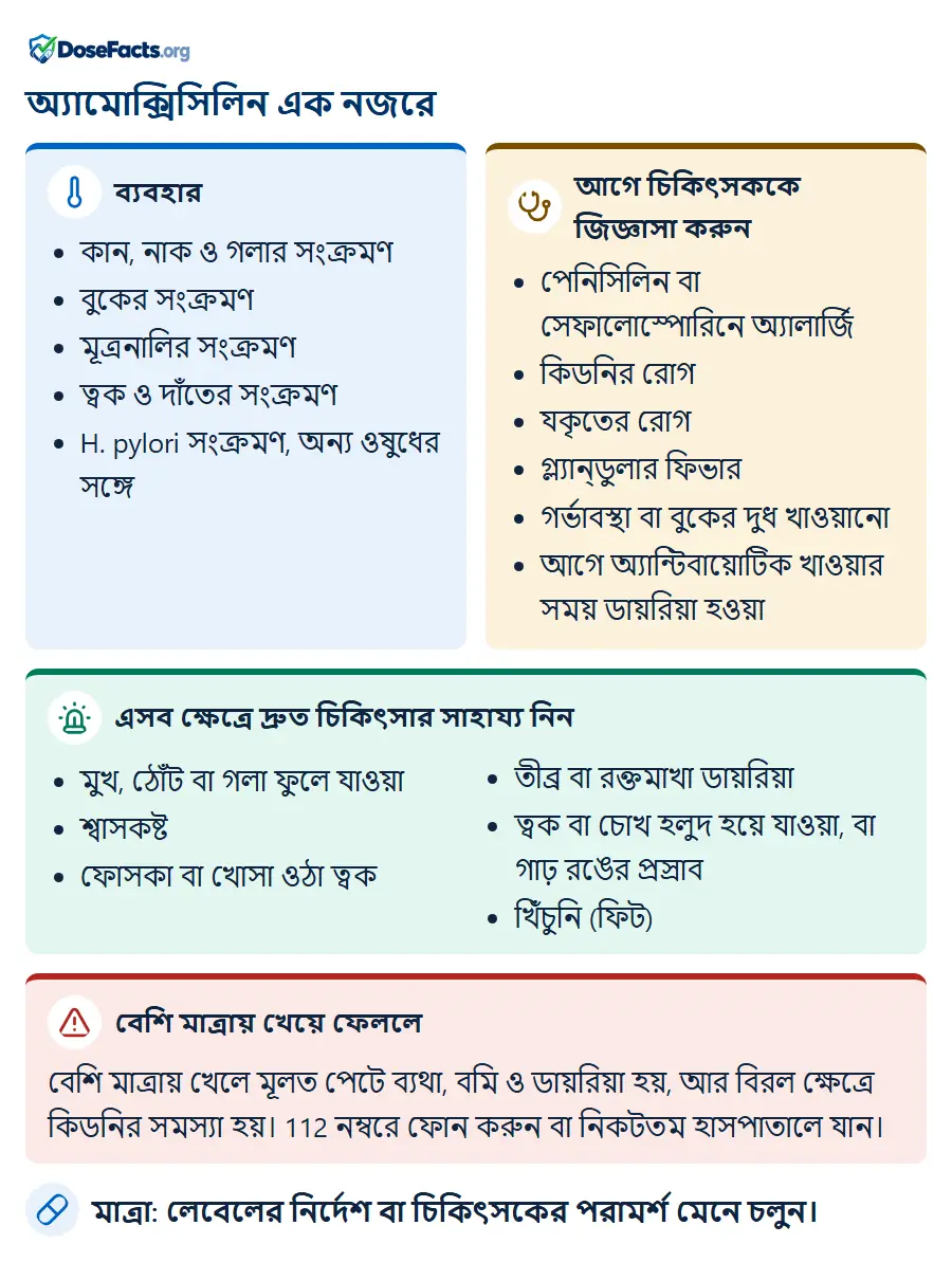 অ্যামোক্সিসিলিন এক নজরে. ব্যবহার: কান, নাক ও গলার সংক্রমণ, বুকের সংক্রমণ, মূত্রনালির সংক্রমণ, ত্বক ও দাঁতের সংক্রমণ, H. pylori সংক্রমণ, অন্য ওষুধের সঙ্গে. আগে চিকিৎসককে জিজ্ঞাসা করুন: পেনিসিলিন বা সেফালোস্পোরিনে অ্যালার্জি, কিডনির রোগ, যকৃতের রোগ, গ্ল্যান্ডুলার ফিভার, গর্ভাবস্থা বা বুকের দুধ খাওয়ানো, আগে অ্যান্টিবায়োটিক খাওয়ার সময় ডায়রিয়া হওয়া. এসব ক্ষেত্রে দ্রুত চিকিৎসার সাহায্য নিন: মুখ, ঠোঁট বা গলা ফুলে যাওয়া, শ্বাসকষ্ট, ফোসকা বা খোসা ওঠা ত্বক, তীব্র বা রক্তমাখা ডায়রিয়া, ত্বক বা চোখ হলুদ হয়ে যাওয়া, বা গাঢ় রঙের প্রস্রাব, খিঁচুনি (ফিট). বেশি মাত্রায় খেয়ে ফেললে: বেশি মাত্রায় খেলে মূলত পেটে ব্যথা, বমি ও ডায়রিয়া হয়, আর বিরল ক্ষেত্রে কিডনির সমস্যা হয়। 112 নম্বরে ফোন করুন বা নিকটতম হাসপাতালে যান. মাত্রা: লেবেলের নির্দেশ বা চিকিৎসকের পরামর্শ মেনে চলুন.