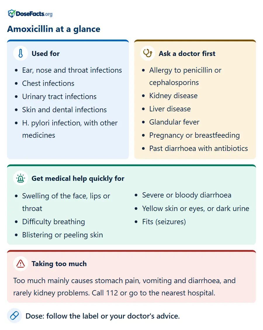 Amoxicillin at a glance. Used for: Ear, nose and throat infections, Chest infections, Urinary tract infections, Skin and dental infections, H. pylori infection, with other medicines. Ask a doctor first: Allergy to penicillin or cephalosporins, Kidney disease, Liver disease, Glandular fever, Pregnancy or breastfeeding, Past diarrhoea with antibiotics. Get medical help quickly for: Swelling of the face, lips or throat, Difficulty breathing, Blistering or peeling skin, Severe or bloody diarrhoea, Yellow skin or eyes, or dark urine, Fits (seizures). Taking too much: Too much mainly causes stomach pain, vomiting and diarrhoea, and rarely kidney problems. Call 112 or go to the nearest hospital. Dose: follow the label or your doctor's advice.