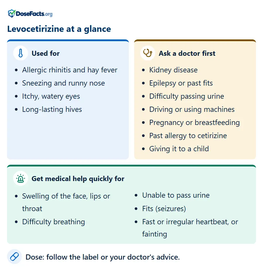 Levocetirizine at a glance. Used for: Allergic rhinitis and hay fever, Sneezing and runny nose, Itchy, watery eyes, Long-lasting hives. Ask a doctor first: Kidney disease, Epilepsy or past fits, Difficulty passing urine, Driving or using machines, Pregnancy or breastfeeding, Past allergy to cetirizine, Giving it to a child. Get medical help quickly for: Swelling of the face, lips or throat, Difficulty breathing, Unable to pass urine, Fits (seizures), Fast or irregular heartbeat, or fainting. Dose: follow the label or your doctor's advice.