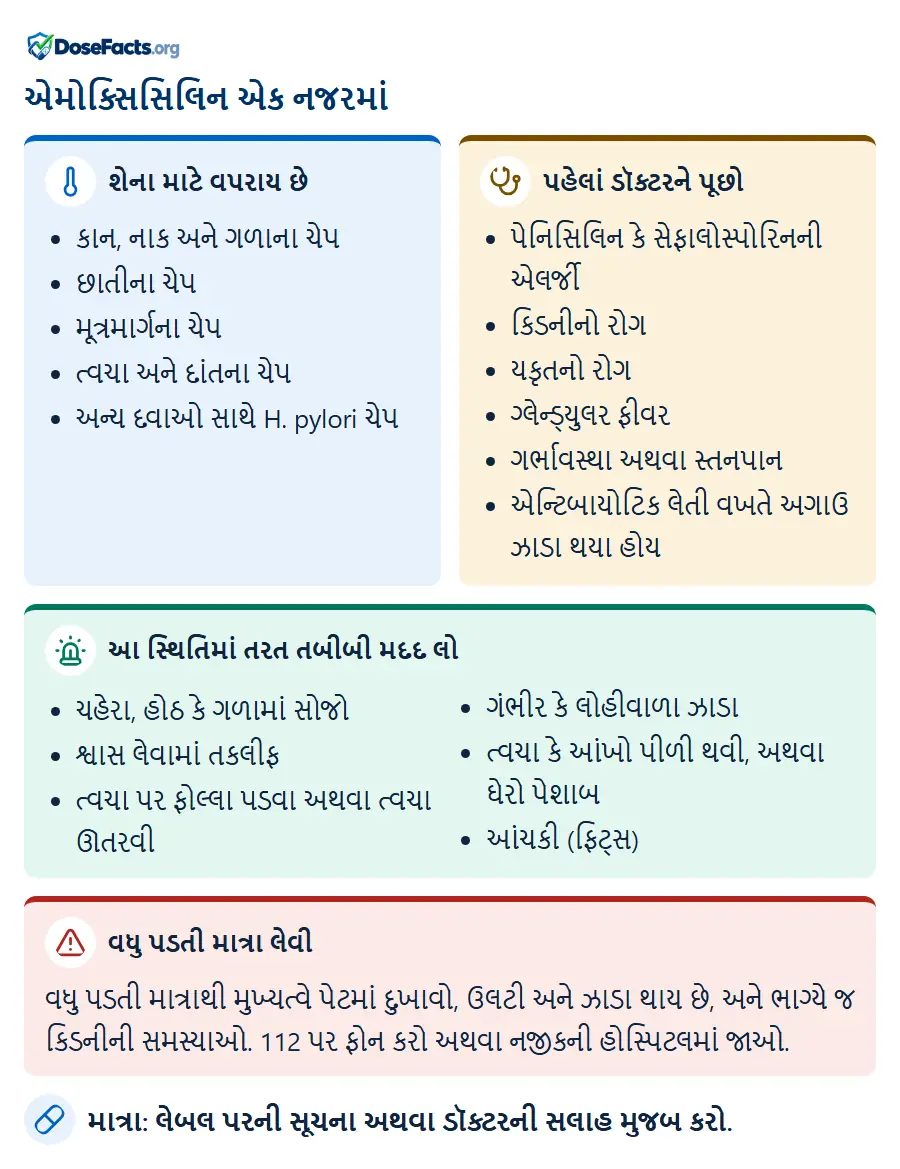 એમોક્સિસિલિન એક નજરમાં. શેના માટે વપરાય છે: કાન, નાક અને ગળાના ચેપ, છાતીના ચેપ, મૂત્રમાર્ગના ચેપ, ત્વચા અને દાંતના ચેપ, અન્ય દવાઓ સાથે H. pylori ચેપ. પહેલાં ડૉક્ટરને પૂછો: પેનિસિલિન કે સેફાલોસ્પોરિનની એલર્જી, કિડનીનો રોગ, યકૃતનો રોગ, ગ્લેન્ડ્યુલર ફીવર, ગર્ભાવસ્થા અથવા સ્તનપાન, એન્ટિબાયોટિક લેતી વખતે અગાઉ ઝાડા થયા હોય. આ સ્થિતિમાં તરત તબીબી મદદ લો: ચહેરા, હોઠ કે ગળામાં સોજો, શ્વાસ લેવામાં તકલીફ, ત્વચા પર ફોલ્લા પડવા અથવા ત્વચા ઊતરવી, ગંભીર કે લોહીવાળા ઝાડા, ત્વચા કે આંખો પીળી થવી, અથવા ઘેરો પેશાબ, આંચકી (ફિટ્સ). વધુ પડતી માત્રા લેવી: વધુ પડતી માત્રાથી મુખ્યત્વે પેટમાં દુખાવો, ઉલટી અને ઝાડા થાય છે, અને ભાગ્યે જ કિડનીની સમસ્યાઓ. 112 પર ફોન કરો અથવા નજીકની હોસ્પિટલમાં જાઓ. માત્રા: લેબલ પરની સૂચના અથવા ડૉક્ટરની સલાહ મુજબ કરો.