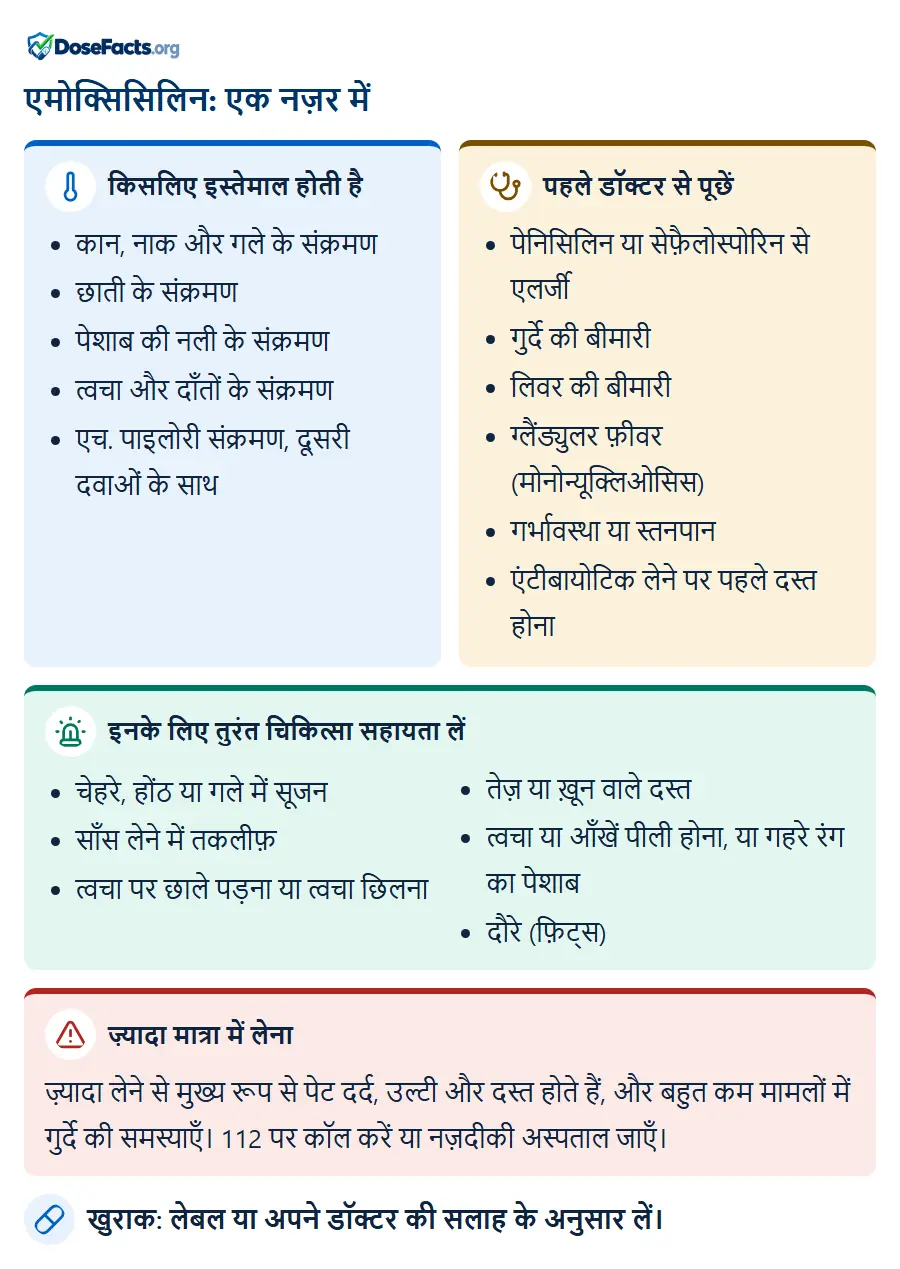 एमोक्सिसिलिन: एक नज़र में. किसलिए इस्तेमाल होती है: कान, नाक और गले के संक्रमण, छाती के संक्रमण, पेशाब की नली के संक्रमण, त्वचा और दाँतों के संक्रमण, एच. पाइलोरी संक्रमण, दूसरी दवाओं के सा. पहले डॉक्टर से पूछें: पेनिसिलिन या सेफ़ैलोस्पोरिन से एलर्जी, गुर्दे की बीमारी, लिवर की बीमारी, ग्लैंड्युलर फ़ीवर (मोनोन्यूक्लिओसिस), गर्भावस्था या स्तनपान, एंटीबायोटिक लेने पर पहले दस्त होना. इनके लिए तुरंत चिकित्सा सहायता लें: चेहरे, होंठ या गले में सूजन, साँस लेने में तकलीफ़, त्वचा पर छाले पड़ना या त्वचा छिलना, तेज़ या ख़ून वाले दस्त, त्वचा या आँखें पीली होना, या गहरे रंग का पेशाब, दौरे (फ़िट्स). ज़्यादा मात्रा में लेना: ज़्यादा लेने से मुख्य रूप से पेट दर्द, उल्टी और दस्त होते हैं, और बहुत कम मामलों में गुर्दे की समस्याएँ। 112 पर कॉल करें या नज़दीकी अस्पताल जाएँ. खुराक: लेबल या अपने डॉक्टर की सलाह के अनुसार लें.