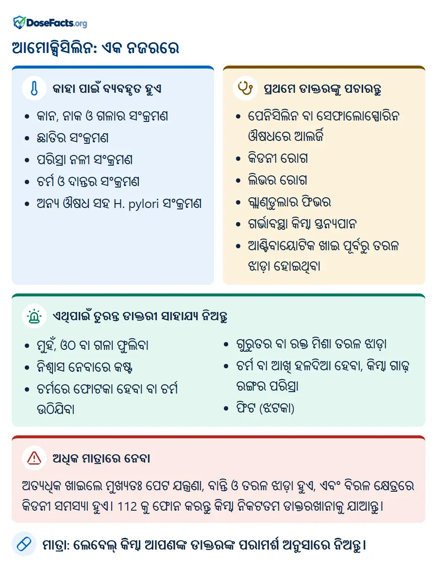 ଆମୋକ୍ସିସିଲିନ: ଏକ ନଜରରେ. କାହା ପାଇଁ ବ୍ୟବହୃତ ହୁଏ: କାନ, ନାକ ଓ ଗଳାର ସଂକ୍ରମଣ, ଛାତିର ସଂକ୍ରମଣ, ପରିସ୍ରା ନଳୀ ସଂକ୍ରମଣ, ଚର୍ମ ଓ ଦାନ୍ତର ସଂକ୍ରମଣ, ଅନ୍ୟ ଔଷଧ ସହ H. pylori ସଂକ୍ରମଣ. ପ୍ରଥମେ ଡାକ୍ତରଙ୍କୁ ପଚାରନ୍ତୁ: ପେନିସିଲିନ ବା ସେଫାଲୋସ୍ପୋରିନ ଔଷଧରେ ଆଲର୍ଜି, କିଡନୀ ରୋଗ, ଲିଭର ରୋଗ, ଗ୍ଲାଣ୍ଡୁଲାର ଫିଭର, ଗର୍ଭାବସ୍ଥା କିମ୍ବା ସ୍ତନ୍ୟପାନ, ଆଣ୍ଟିବାୟୋଟିକ ଖାଇ ପୂର୍ବରୁ ତରଳ ଝାଡ଼ା ହୋଇଥିବା. ଏଥିପାଇଁ ତୁରନ୍ତ ଡାକ୍ତରୀ ସାହାଯ୍ୟ ନିଅନ୍ତୁ: ମୁହଁ, ଓଠ ବା ଗଳା ଫୁଲିବା, ନିଶ୍ୱାସ ନେବାରେ କଷ୍ଟ, ଚର୍ମରେ ଫୋଟକା ହେବା ବା ଚର୍ମ ଉଠିଯିବା, ଗୁରୁତର ବା ରକ୍ତ ମିଶା ତରଳ ଝାଡ଼ା, ଚର୍ମ ବା ଆଖି ହଳଦିଆ ହେବା, କିମ୍ବା ଗାଢ଼ ରଙ୍ଗର ପରିସ୍ରା, ଫିଟ (ଝଟକା). ଅଧିକ ମାତ୍ରାରେ ନେବା: ଅତ୍ୟଧିକ ଖାଇଲେ ମୁଖ୍ୟତଃ ପେଟ ଯନ୍ତ୍ରଣା, ବାନ୍ତି ଓ ତରଳ ଝାଡ଼ା ହୁଏ, ଏବଂ ବିରଳ କ୍ଷେତ୍ରରେ କିଡନୀ ସମସ୍ୟା ହୁଏ। 112 କୁ ଫୋନ କରନ୍ତୁ କିମ୍ବା ନିକଟତମ ଡାକ୍ତରଖାନାକୁ ଯାଆନ୍ତୁ. ମାତ୍ରା: ଲେବେଲ୍ କିମ୍ବା ଆପଣଙ୍କ ଡାକ୍ତରଙ୍କ ପରାମର୍ଶ ଅନୁସାରେ ନିଅନ୍ତୁ.